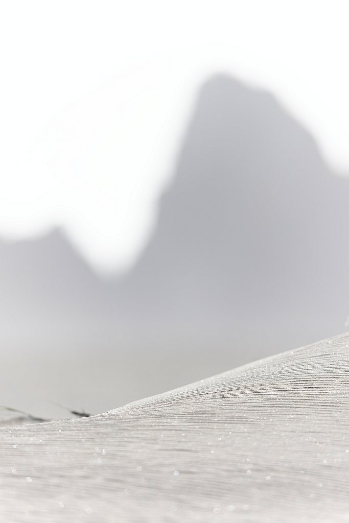 Te Henga (Bethells Beach)