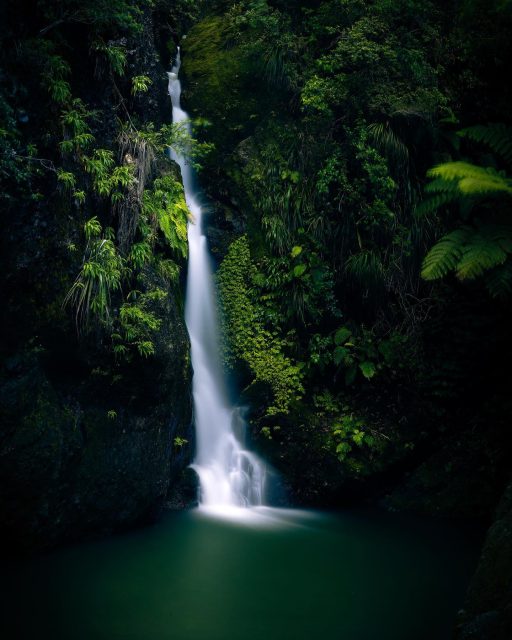 Karamatura falls, Waitakere